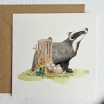 Irish Wildlife Greeting Cards, Set of 5 Badger