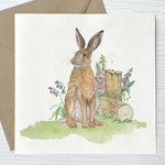 Irish Wildlife Greeting Cards, Set of 5 Hare