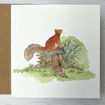 Irish Wildlife Greeting Cards, Set of 5 Red Squirrel