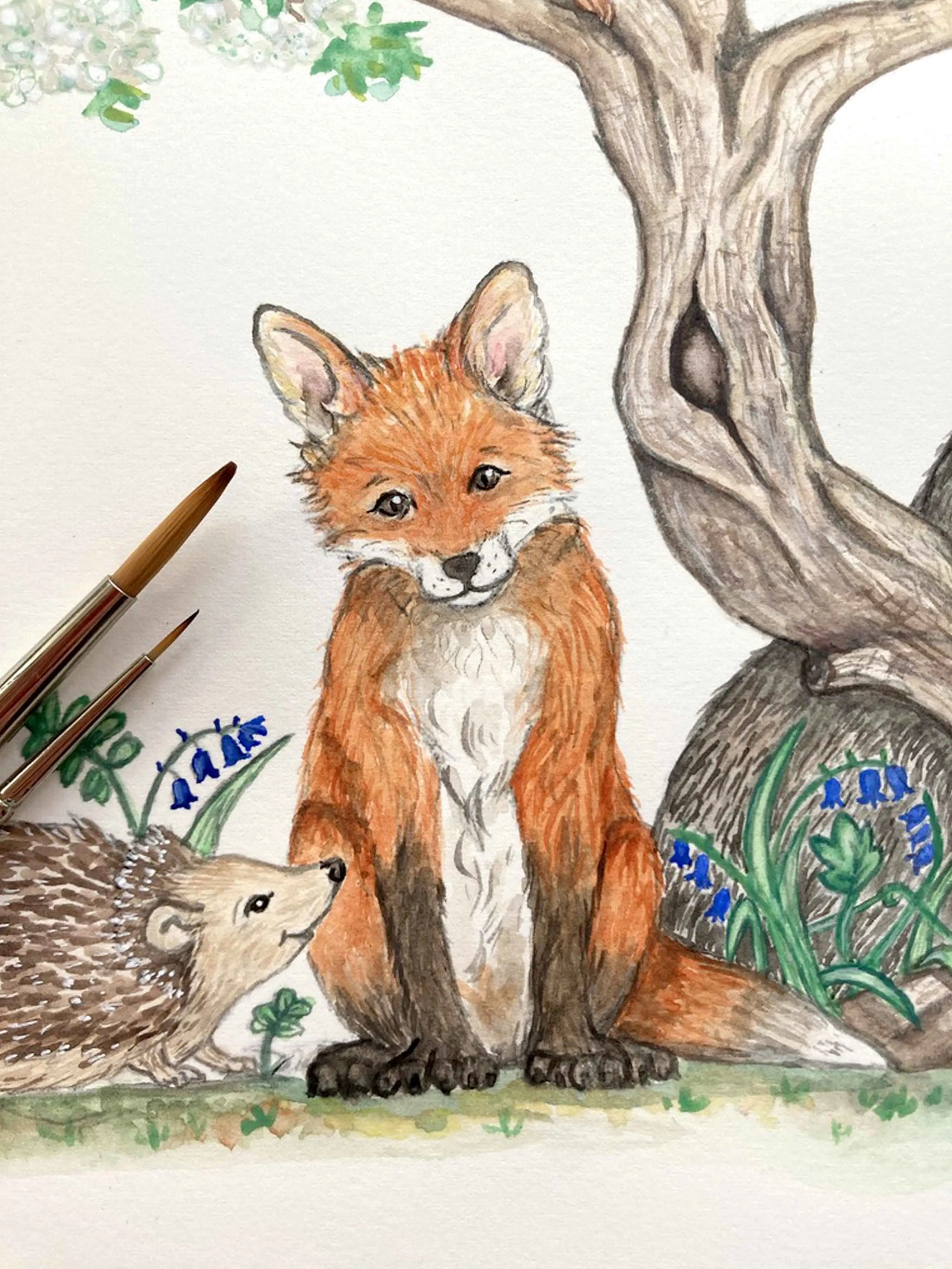 Fox-illustration.jpg