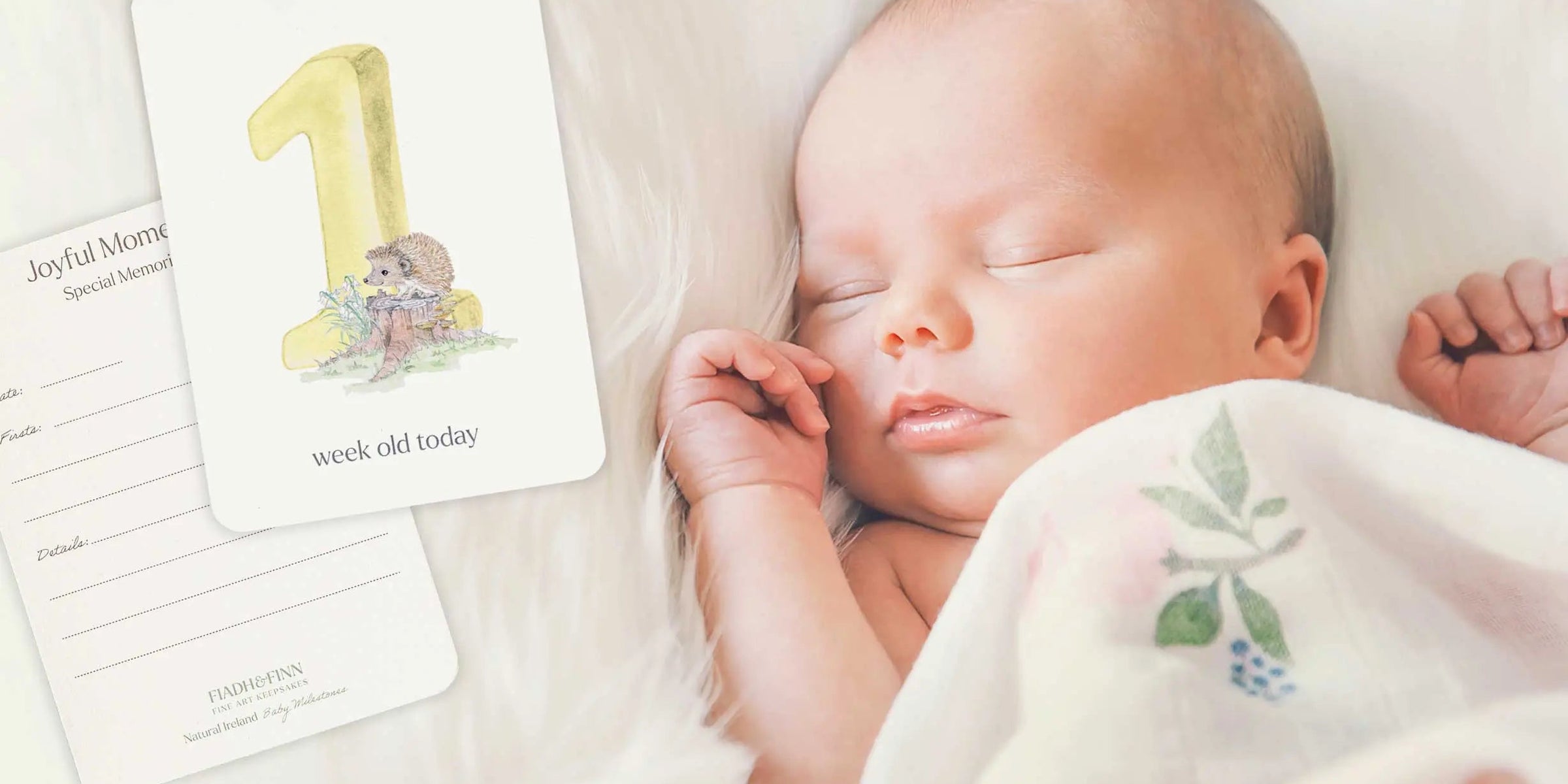 How To Use Baby Milestone Cards - fiadhandfinn