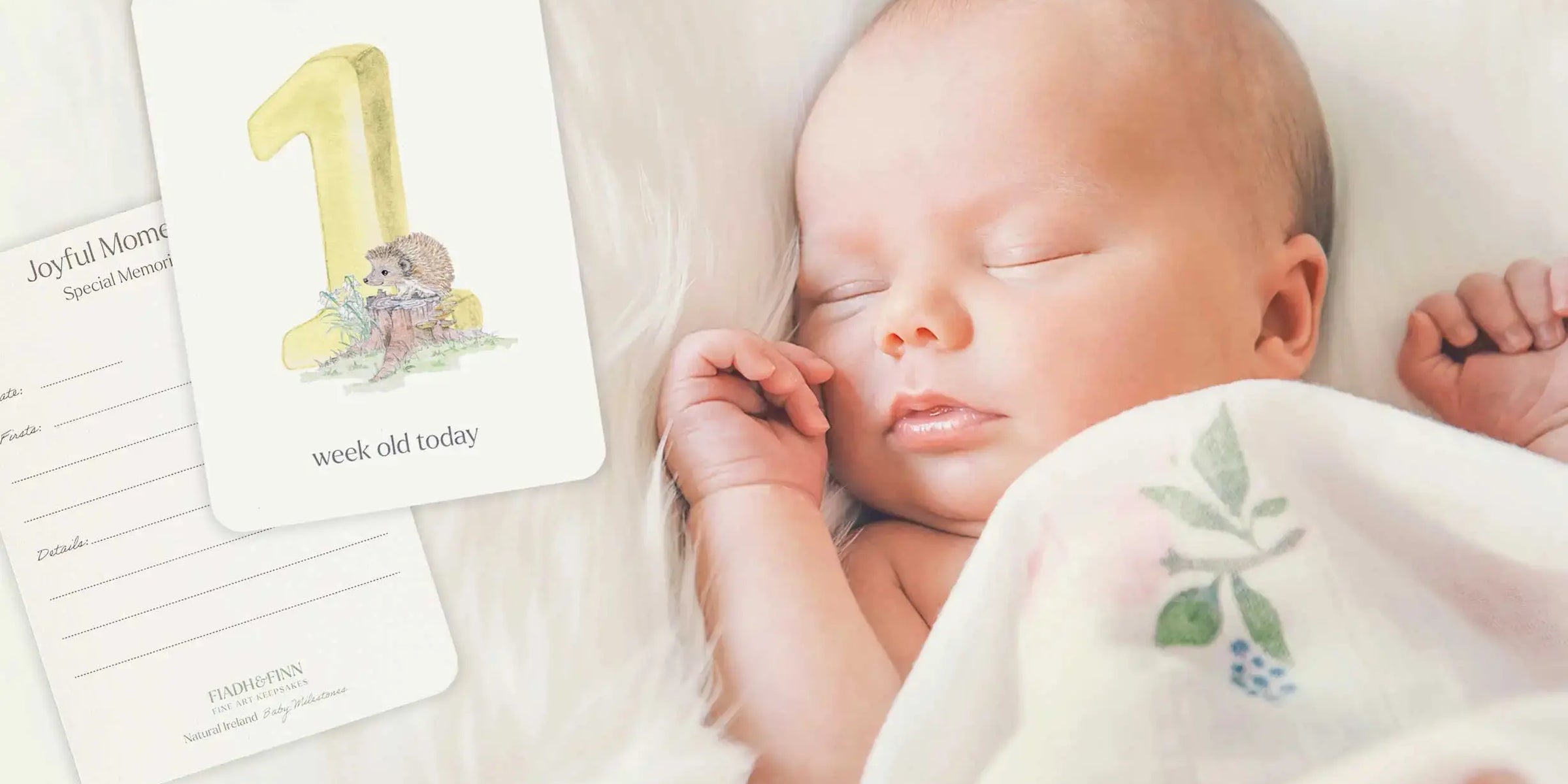 How To Use Baby Milestone Cards - fiadhandfinn