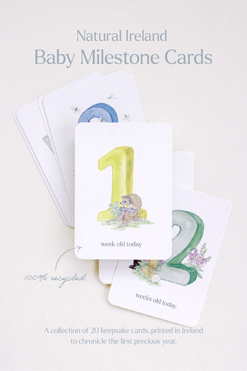 They're Here, Baby Milestone Cards - fiadhandfinn