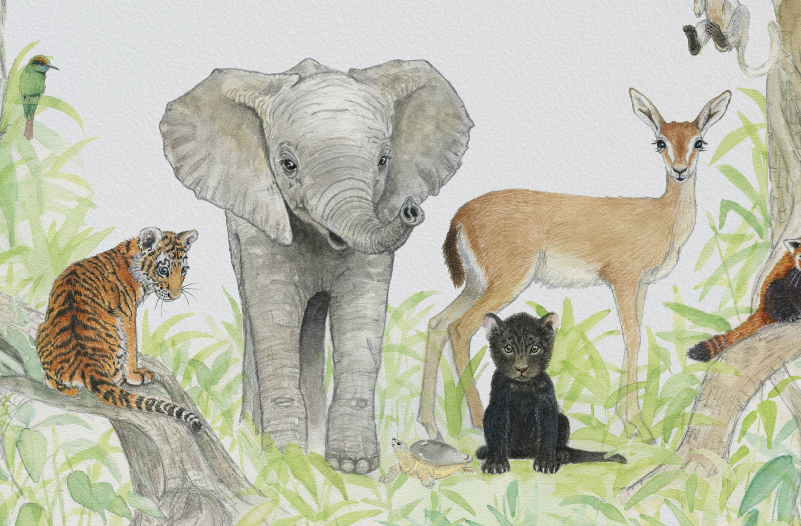 Jungle Animal Friends fiadhandfinn