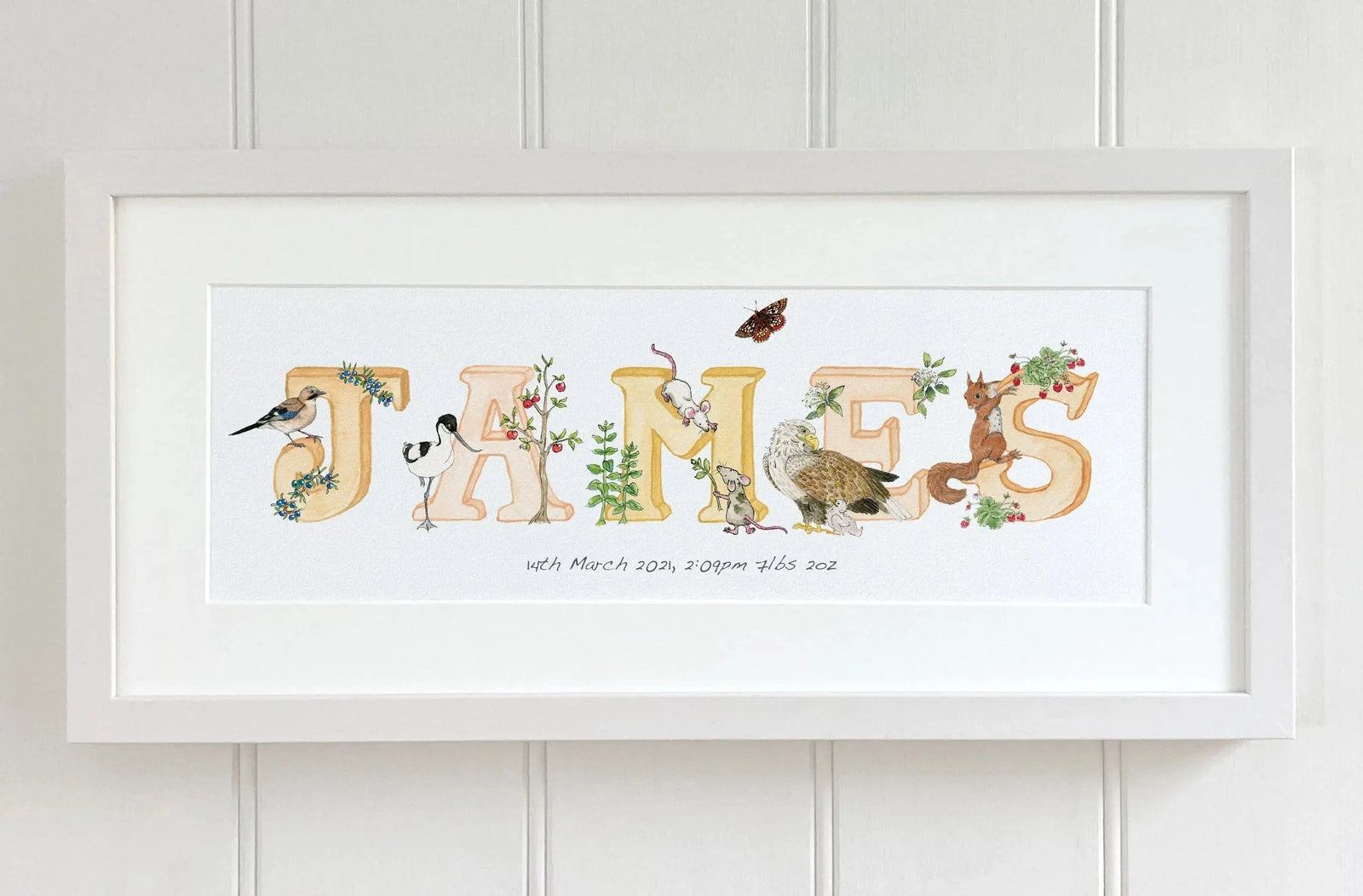 Personalised Alphabet Collection - fiadhandfinn