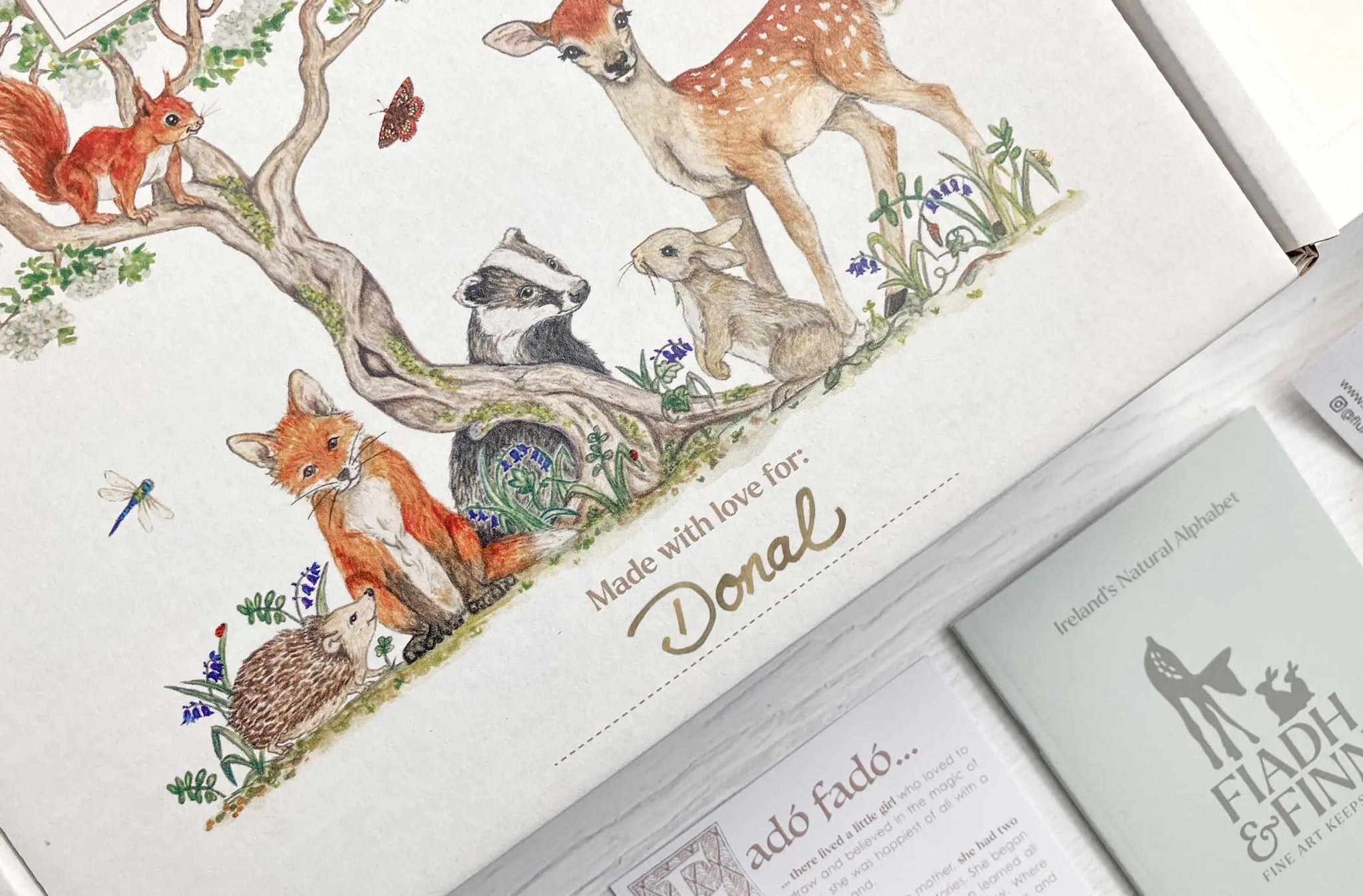 Alphabet Letter Baby Gift Box (Forest) Fiadh&Finn