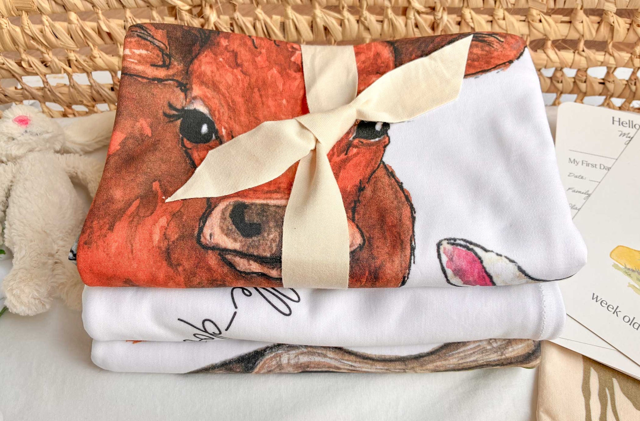 Suan, The Farm Gate, Organic Cotton Blanket Baby Gift Box Fiadh&Finn