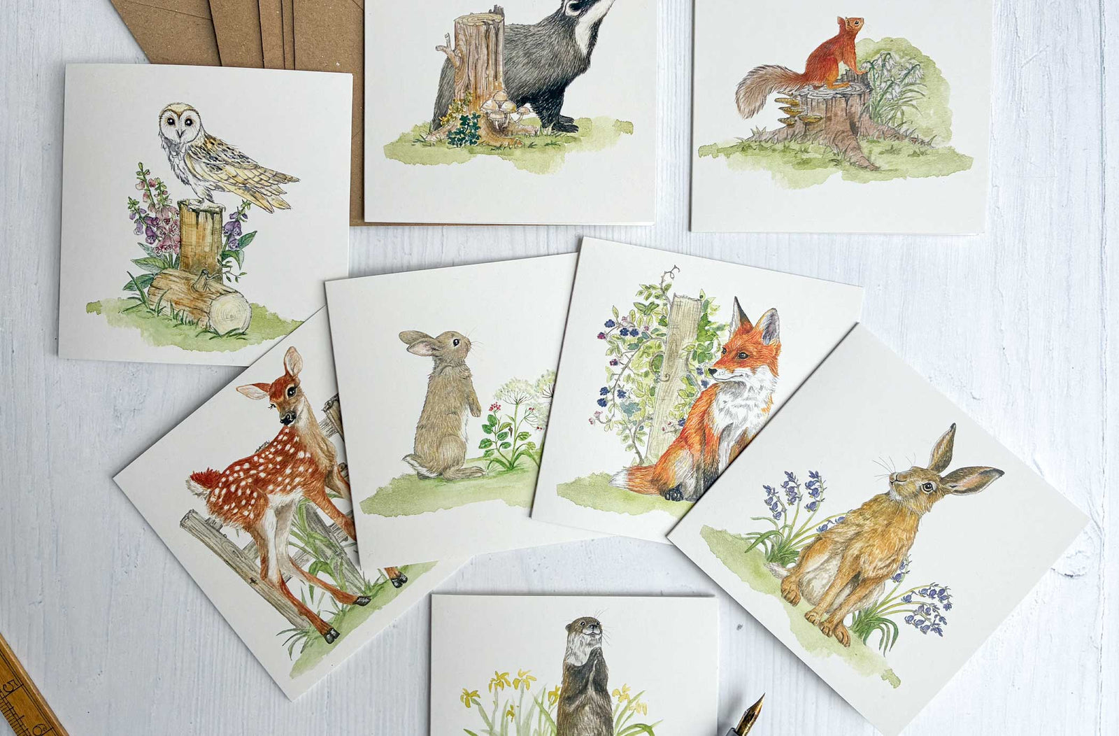 Set of 8 Irish Wildlife Greeting Cards (100% Recycled Card)