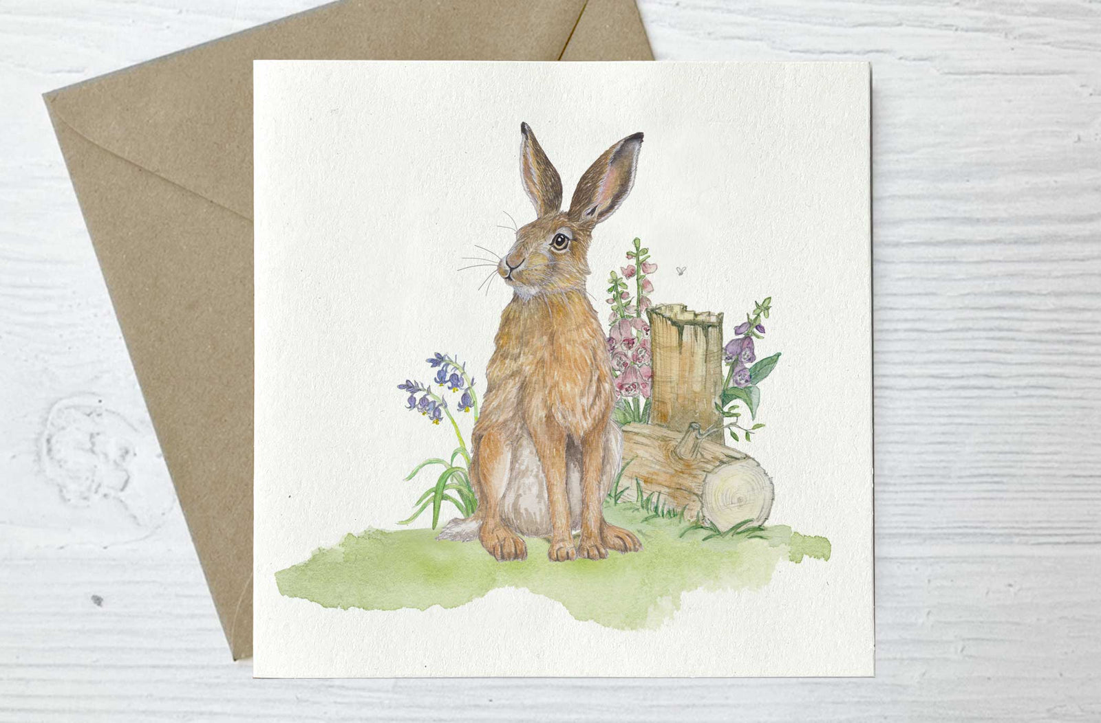 Irish Wildlife Greeting Cards, Set of 5 Hare