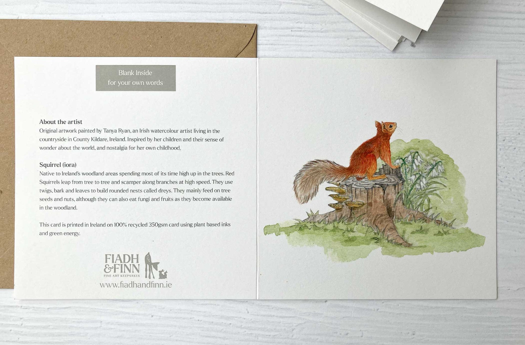 Irish Wildlife Greeting Cards, Set of 5 Red Squirrel