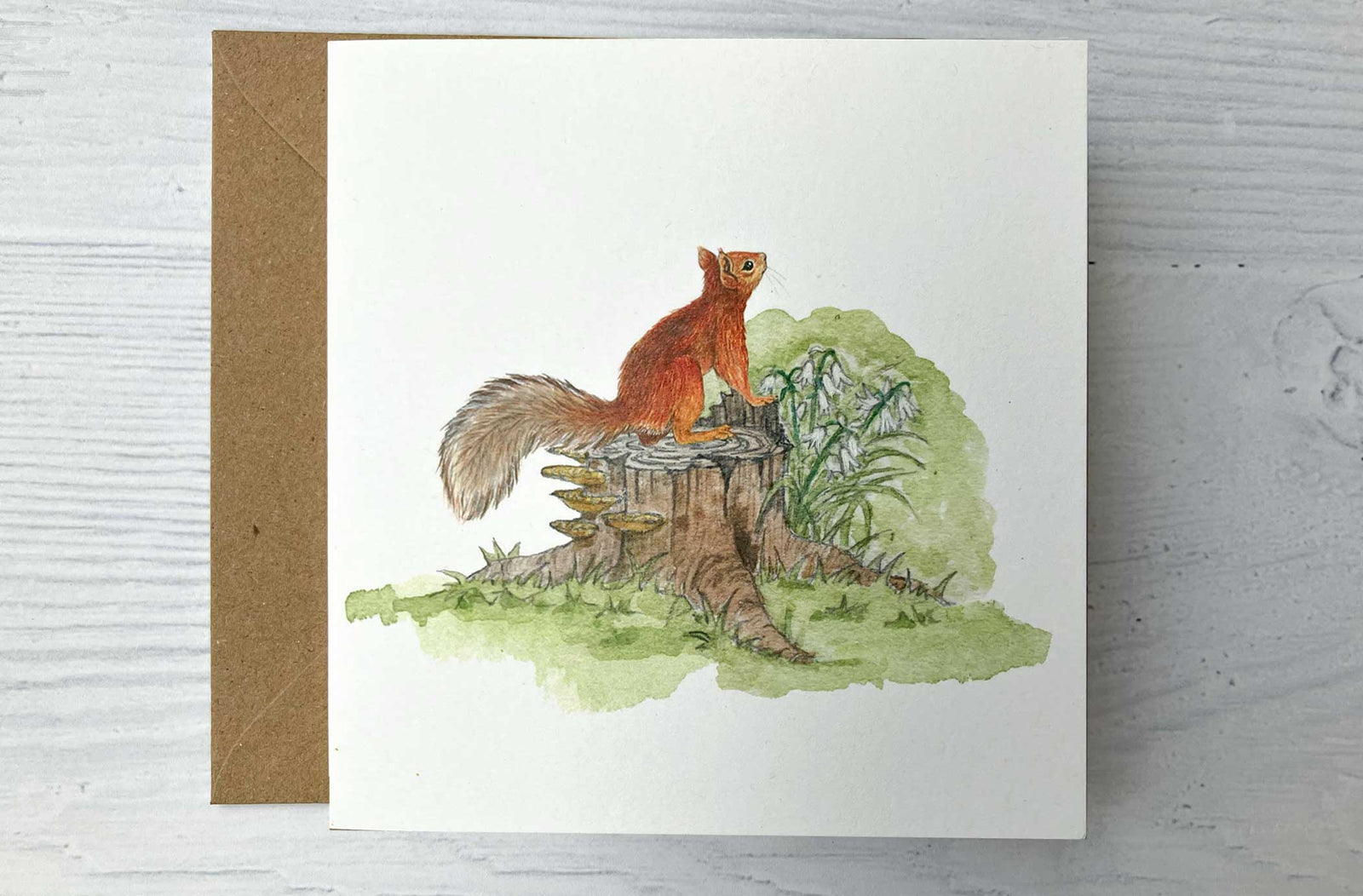 Irish Wildlife Greeting Cards, Set of 5 Red Squirrel