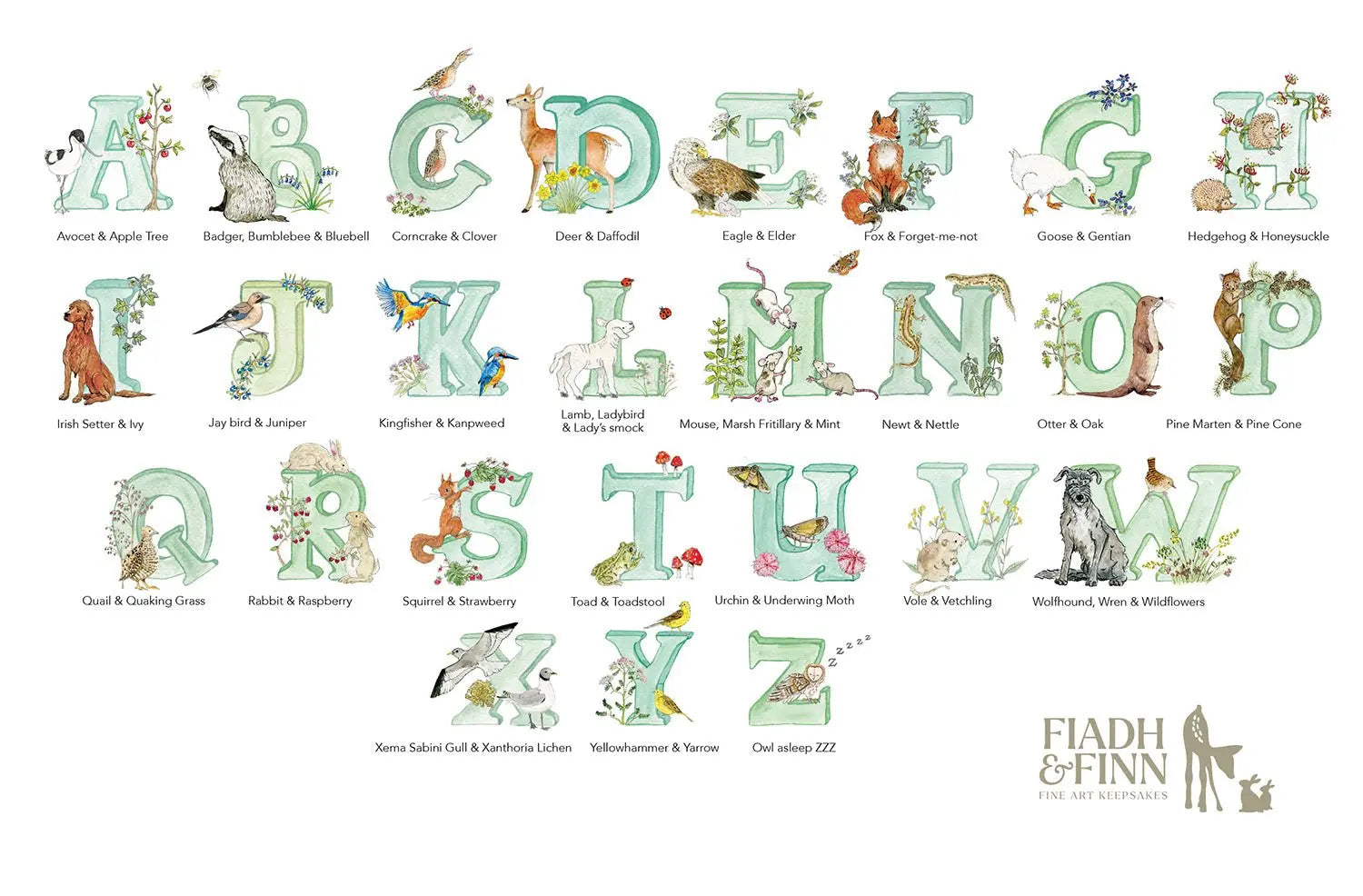 Alphabet Letter Baby Gift Box Set (Forest) - fiadhandfinn
