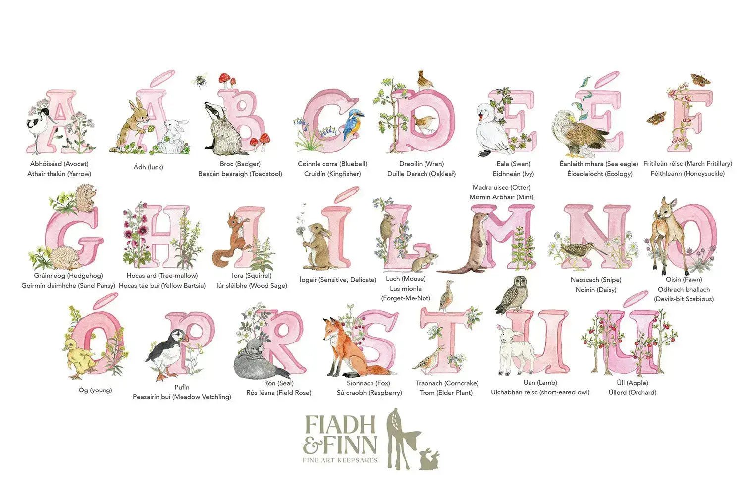 Alphabet Letter Baby Gift Box Set (Rose) - fiadhandfinn