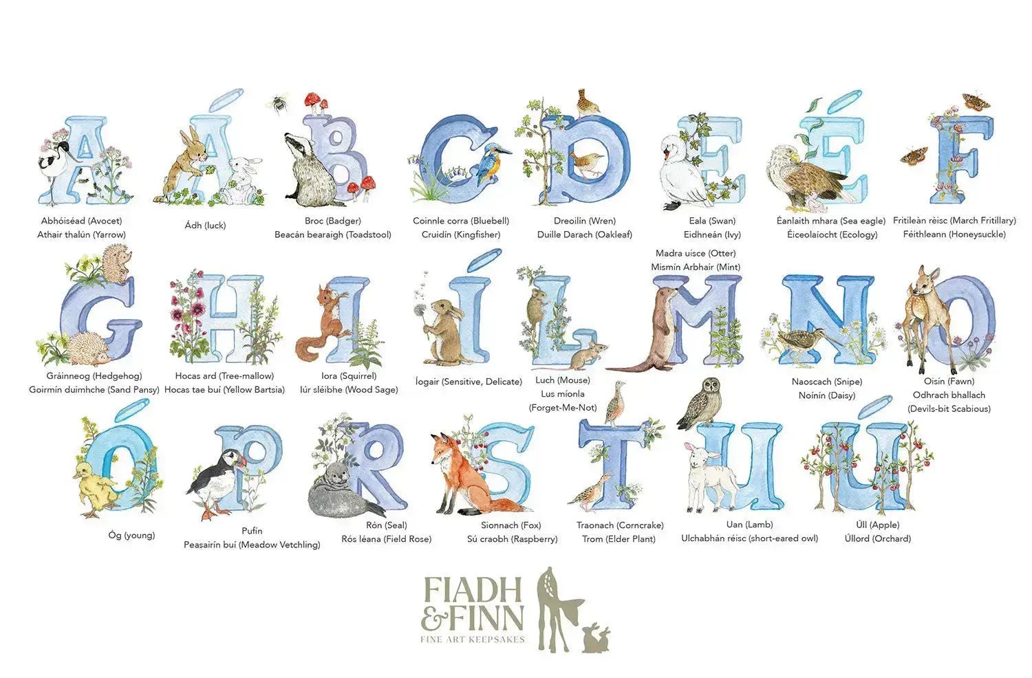 Alphabet Letter Baby Gift Box Set (Sky) - fiadhandfinn