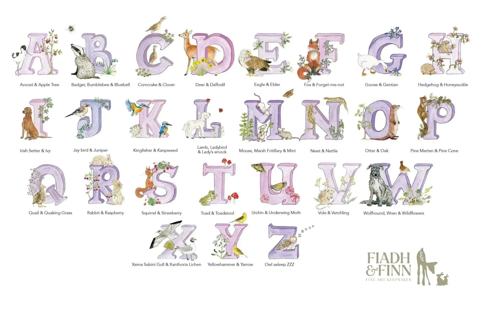 Alphabet Letter Baby Gift Box Set (Violet) - fiadhandfinn