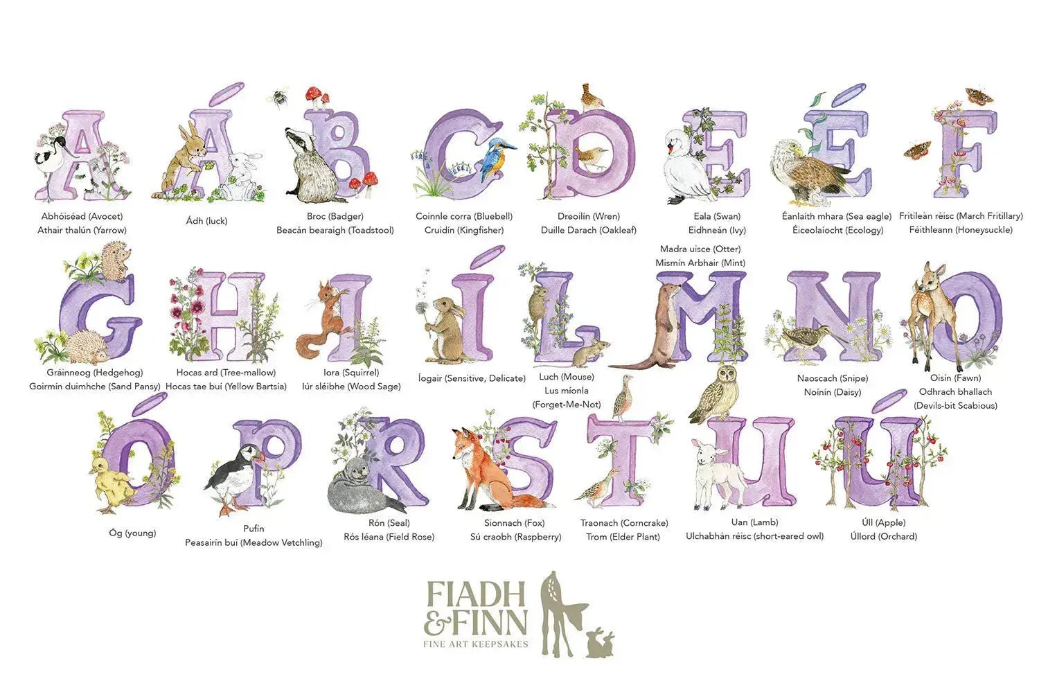 Alphabet Letter Baby Gift Box Set (Violet) - fiadhandfinn