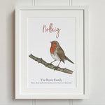 Christmas Robin (Spideog) Nollaig Print - fiadhandfinn