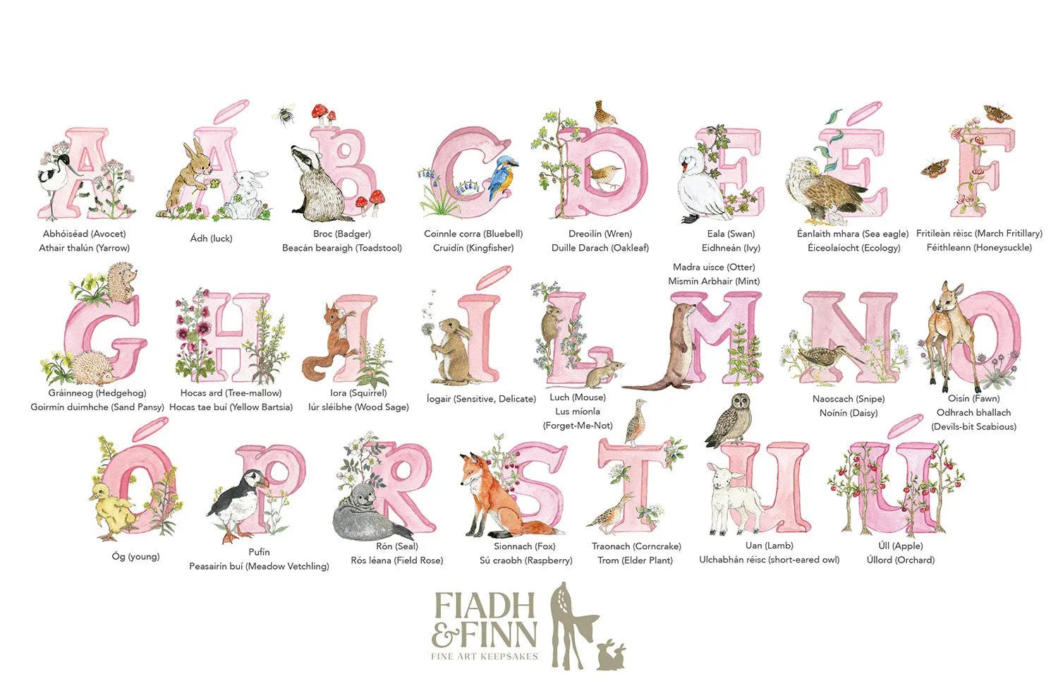 Irish Language Personalised Baby Name Frame (Rose) - fiadhandfinn