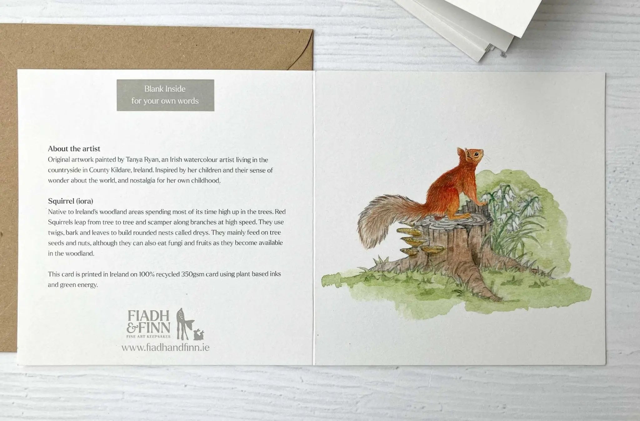 Irish Wildlife Greeting Cards, Set of 5 Red Squirrel - fiadhandfinn