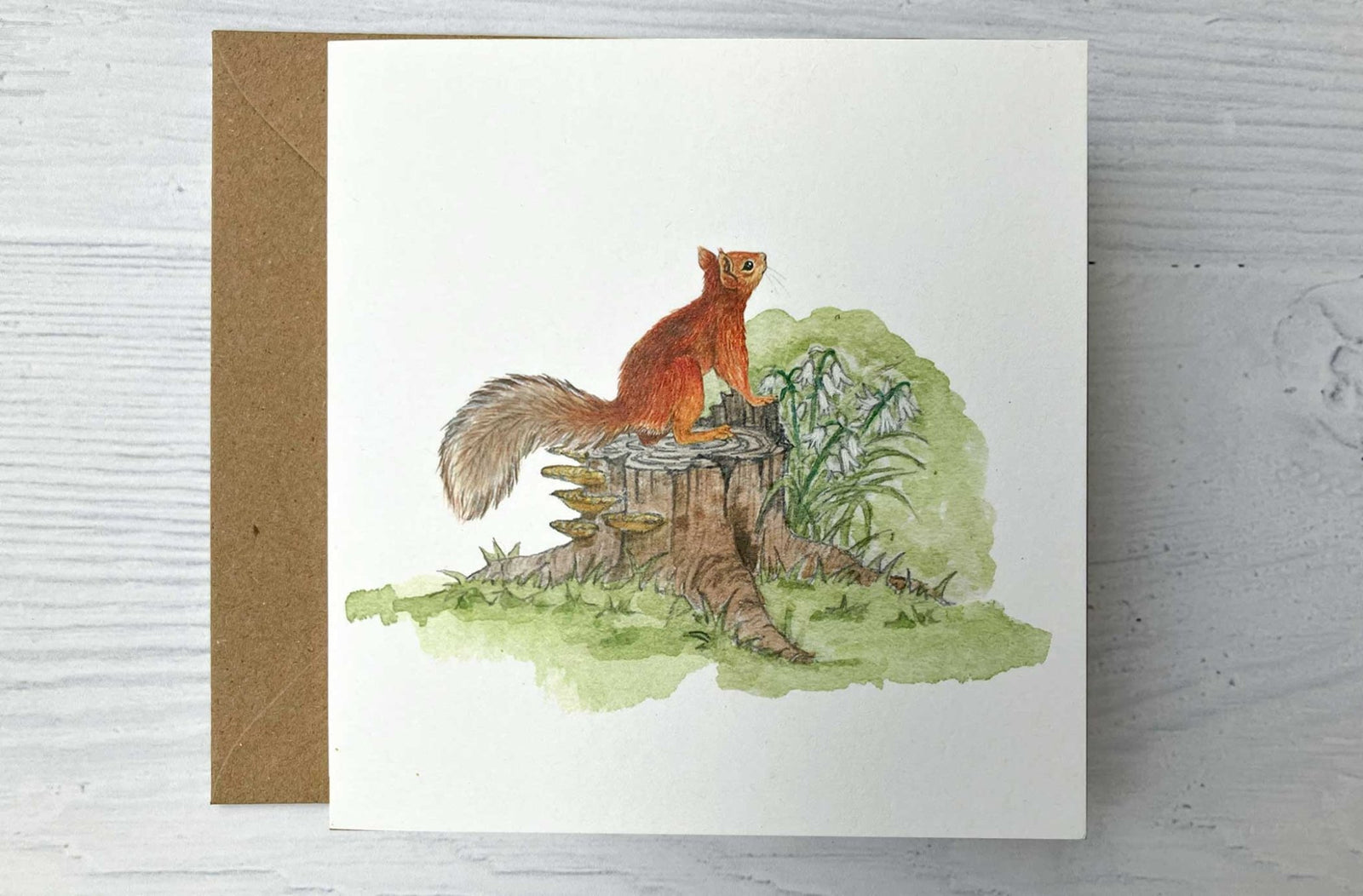 Irish Wildlife Greeting Cards, Set of 5 Red Squirrel - fiadhandfinn