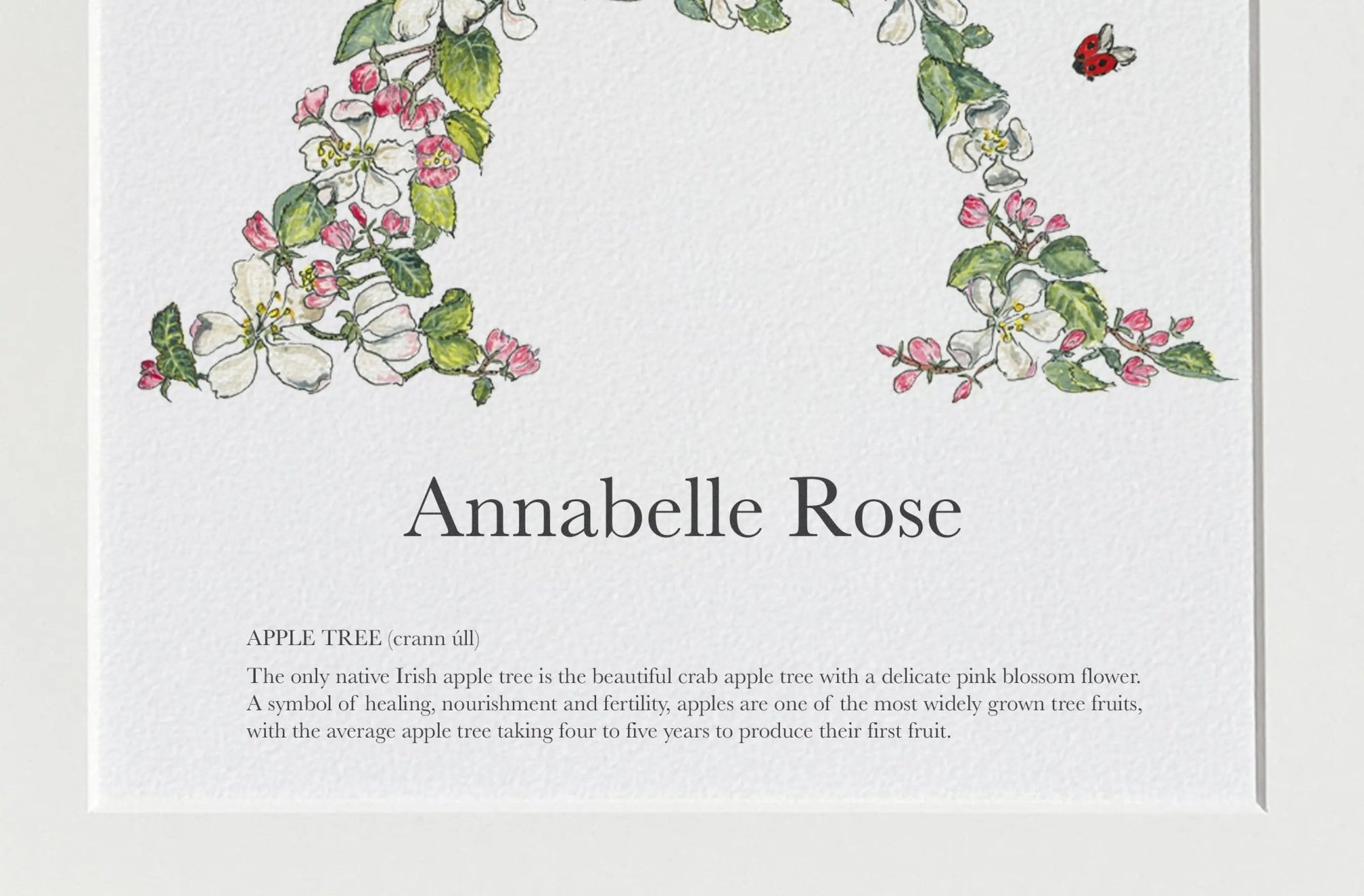 Native Irish Floral Alphabet A - fiadhandfinn