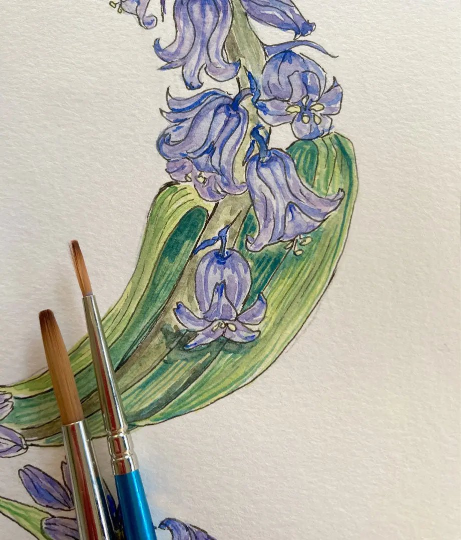 Native Irish Floral Alphabet B - fiadhandfinn