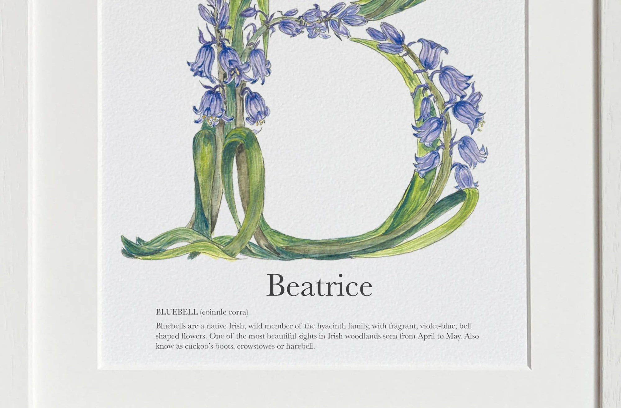 Native Irish Floral Alphabet B - fiadhandfinn