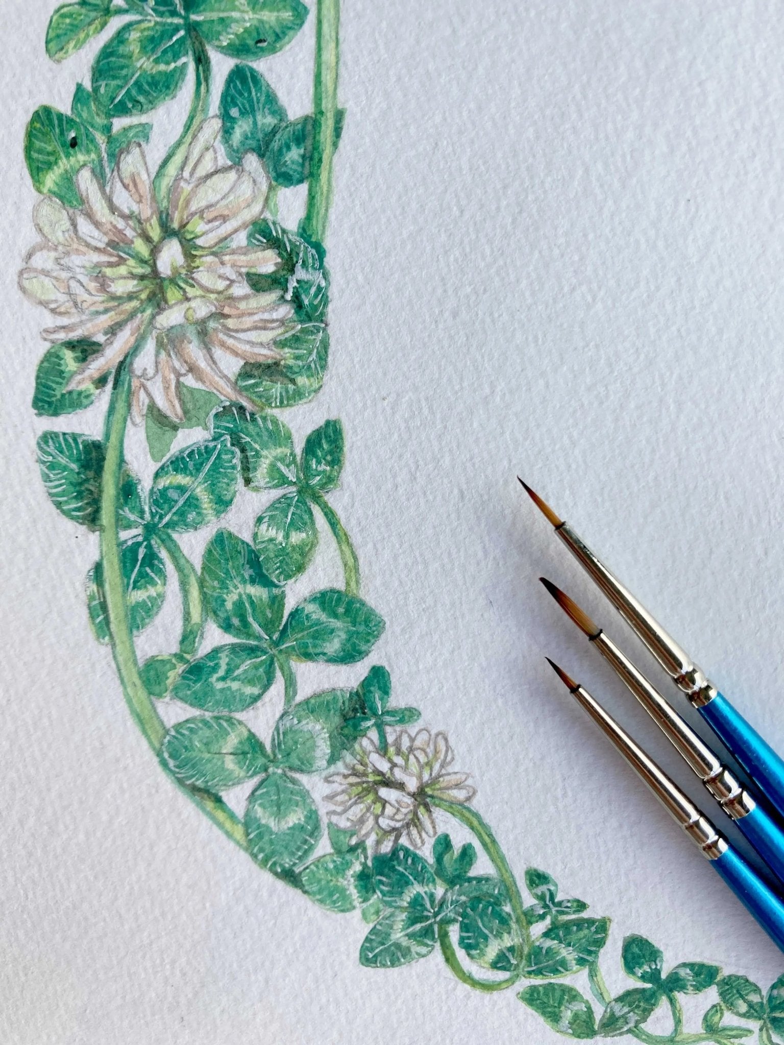 Native Irish Floral Alphabet C - fiadhandfinn