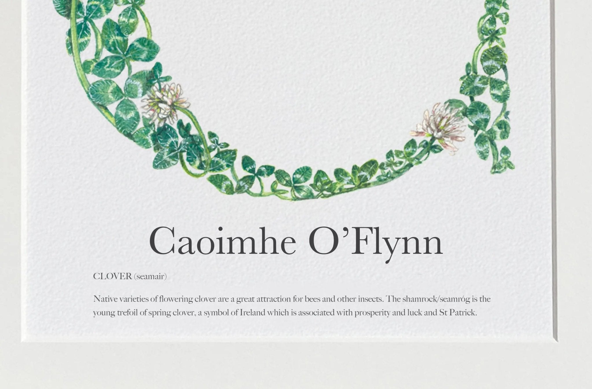 Native Irish Floral Alphabet C - fiadhandfinn
