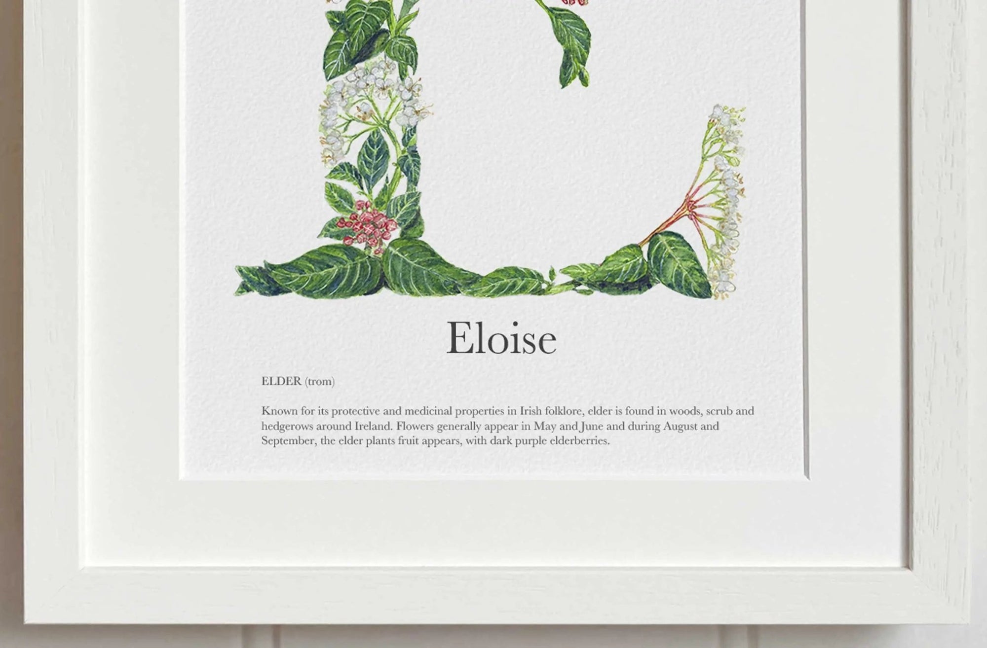 Native Irish Floral Alphabet E - fiadhandfinn