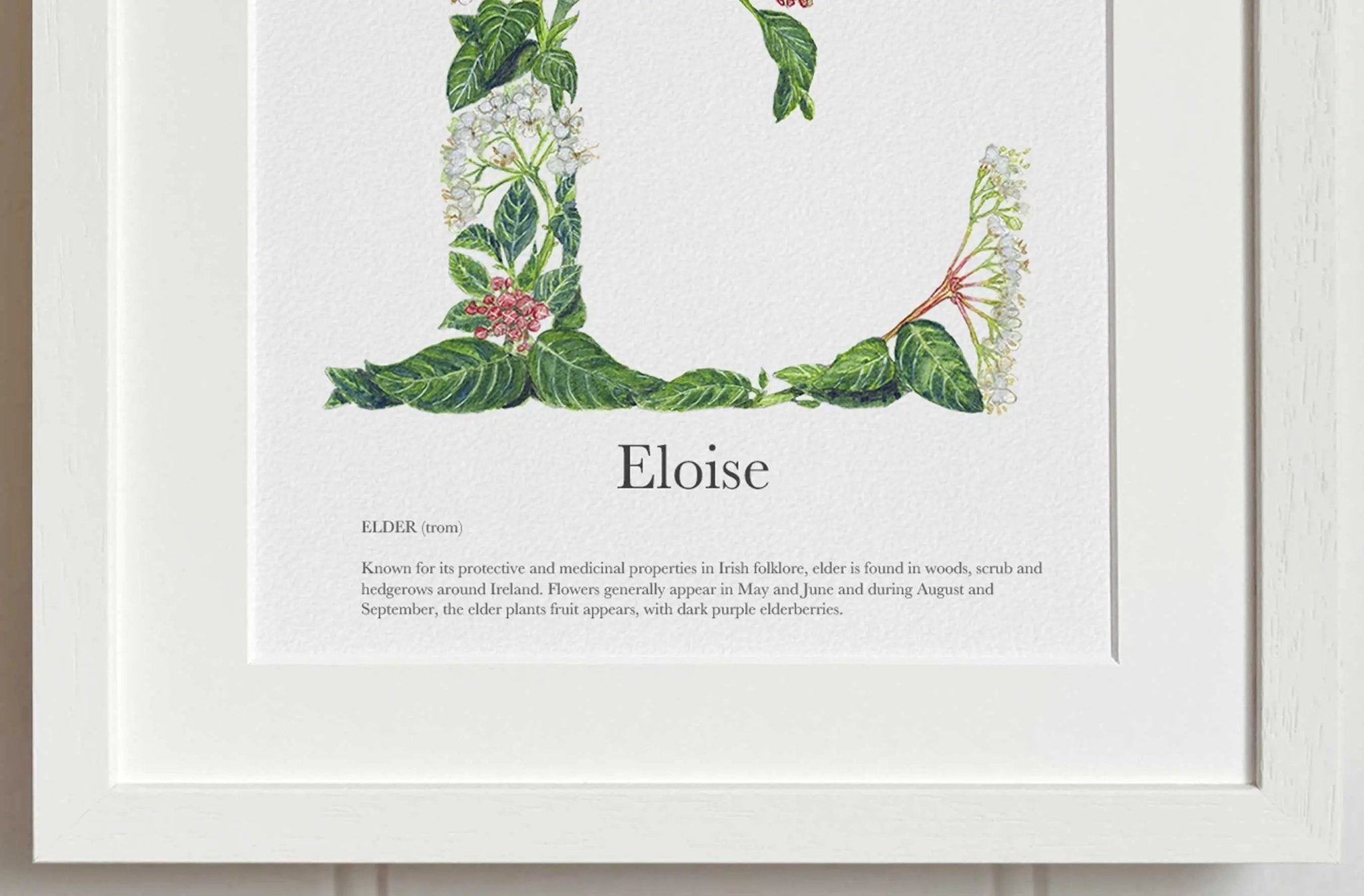 Native Irish Floral Alphabet E - fiadhandfinn