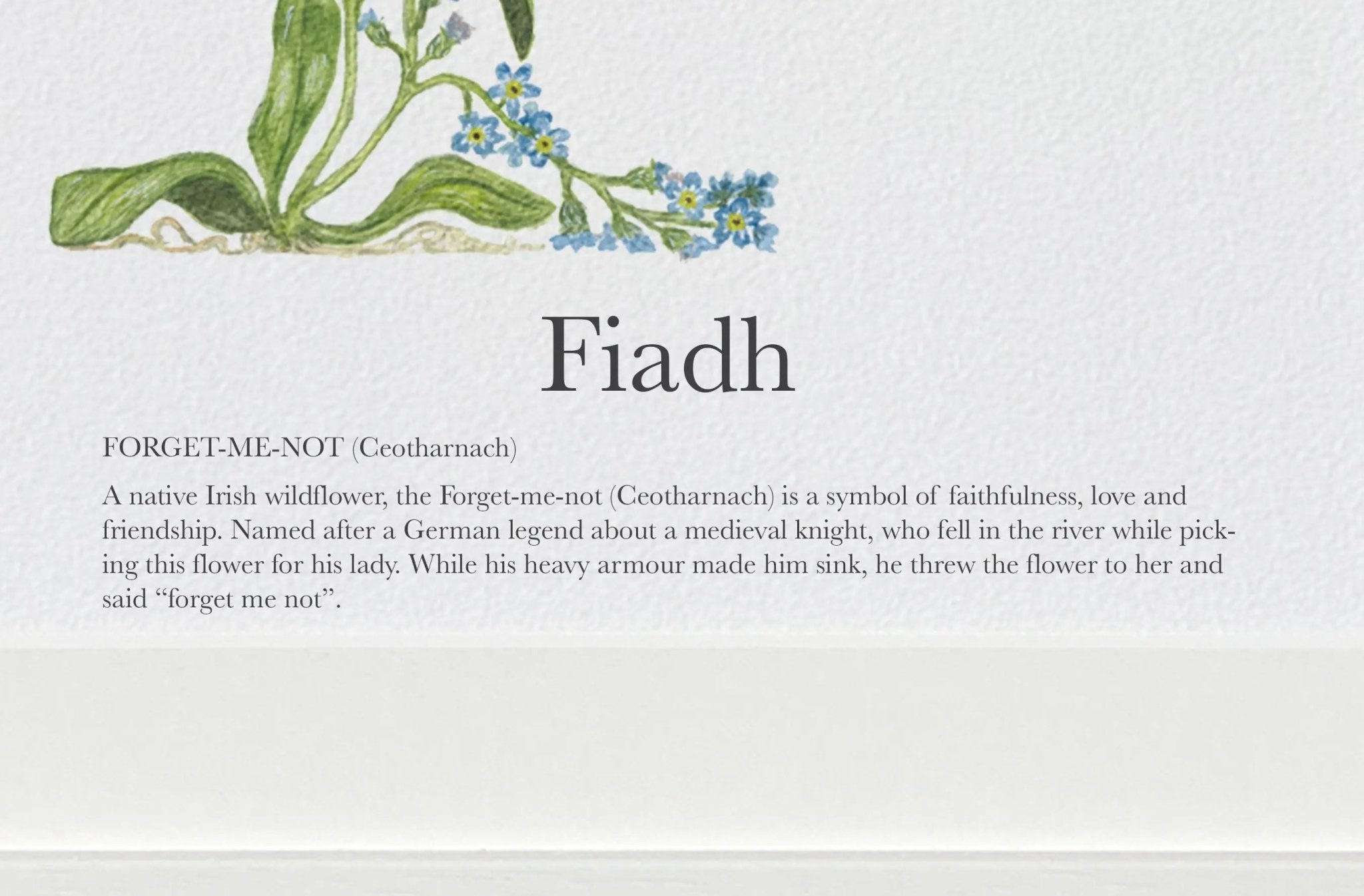 Native Irish Floral Alphabet F - fiadhandfinn