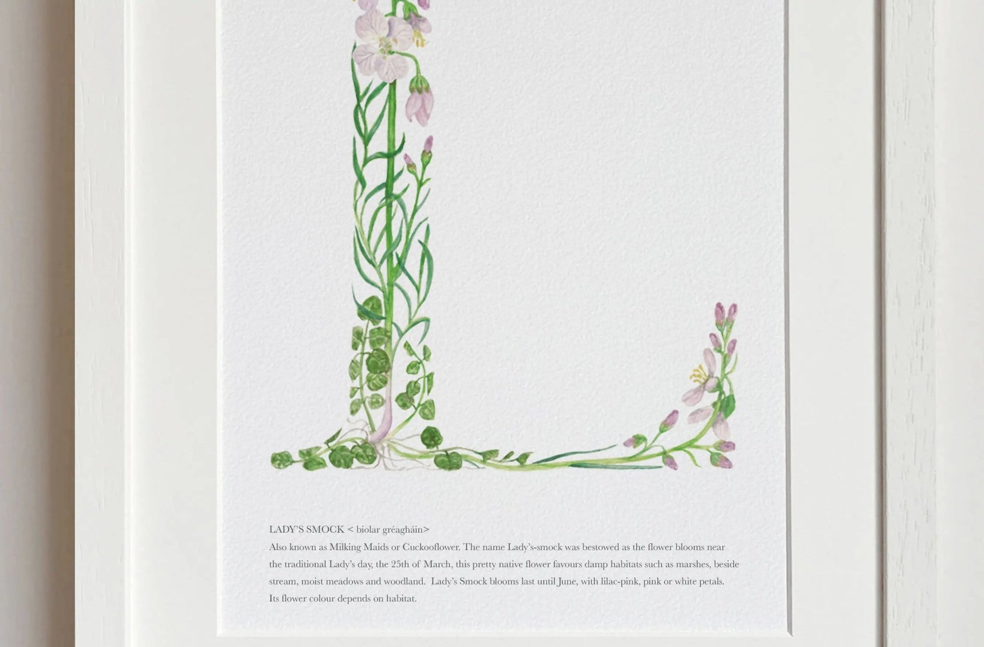Native Irish Floral Alphabet L - fiadhandfinn