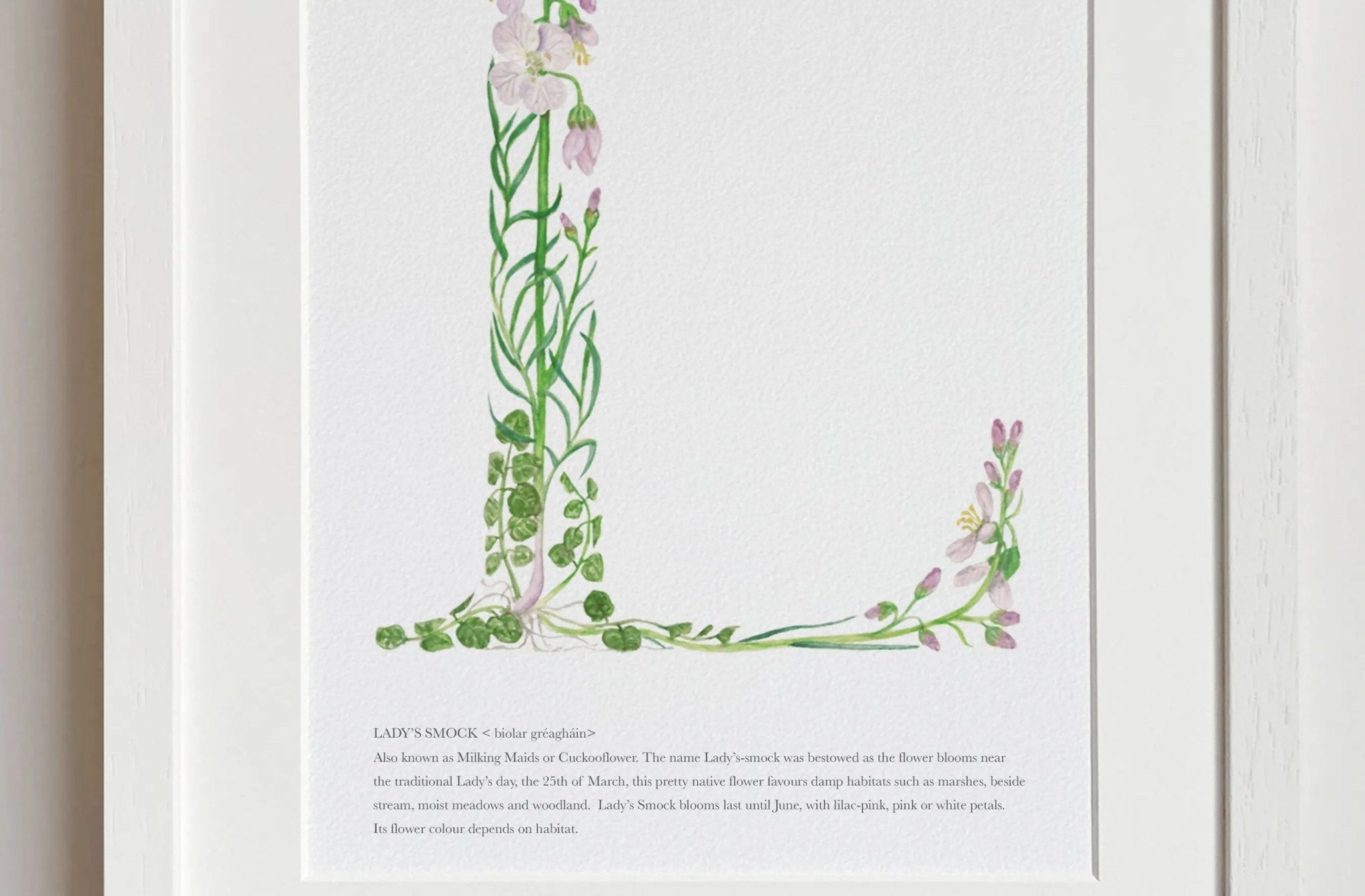 Native Irish Floral Alphabet L - fiadhandfinn