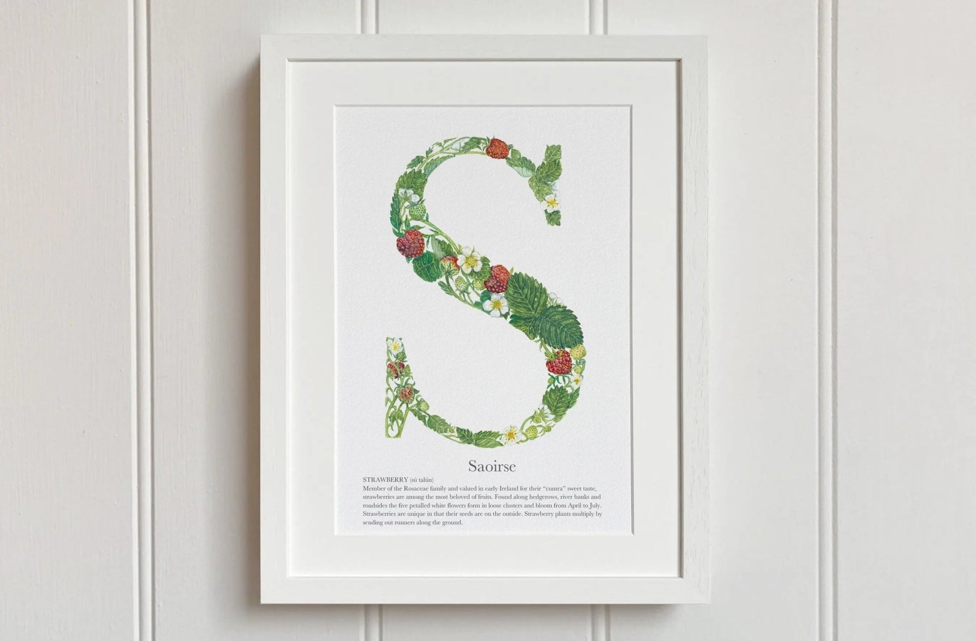 Native Irish Floral Alphabet S - fiadhandfinn