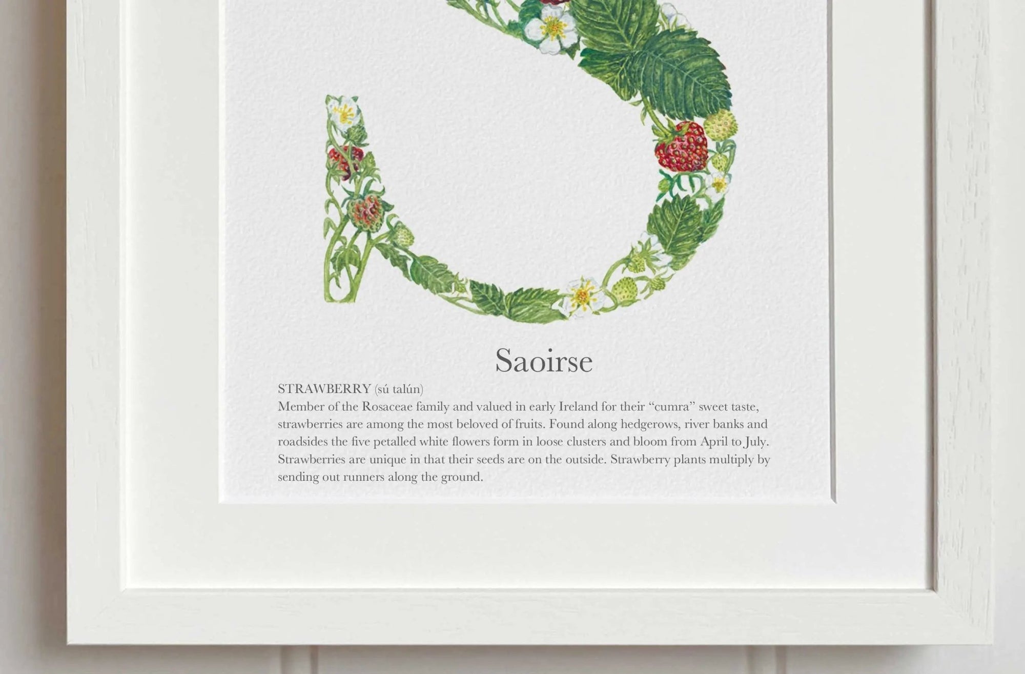 Native Irish Floral Alphabet S - fiadhandfinn
