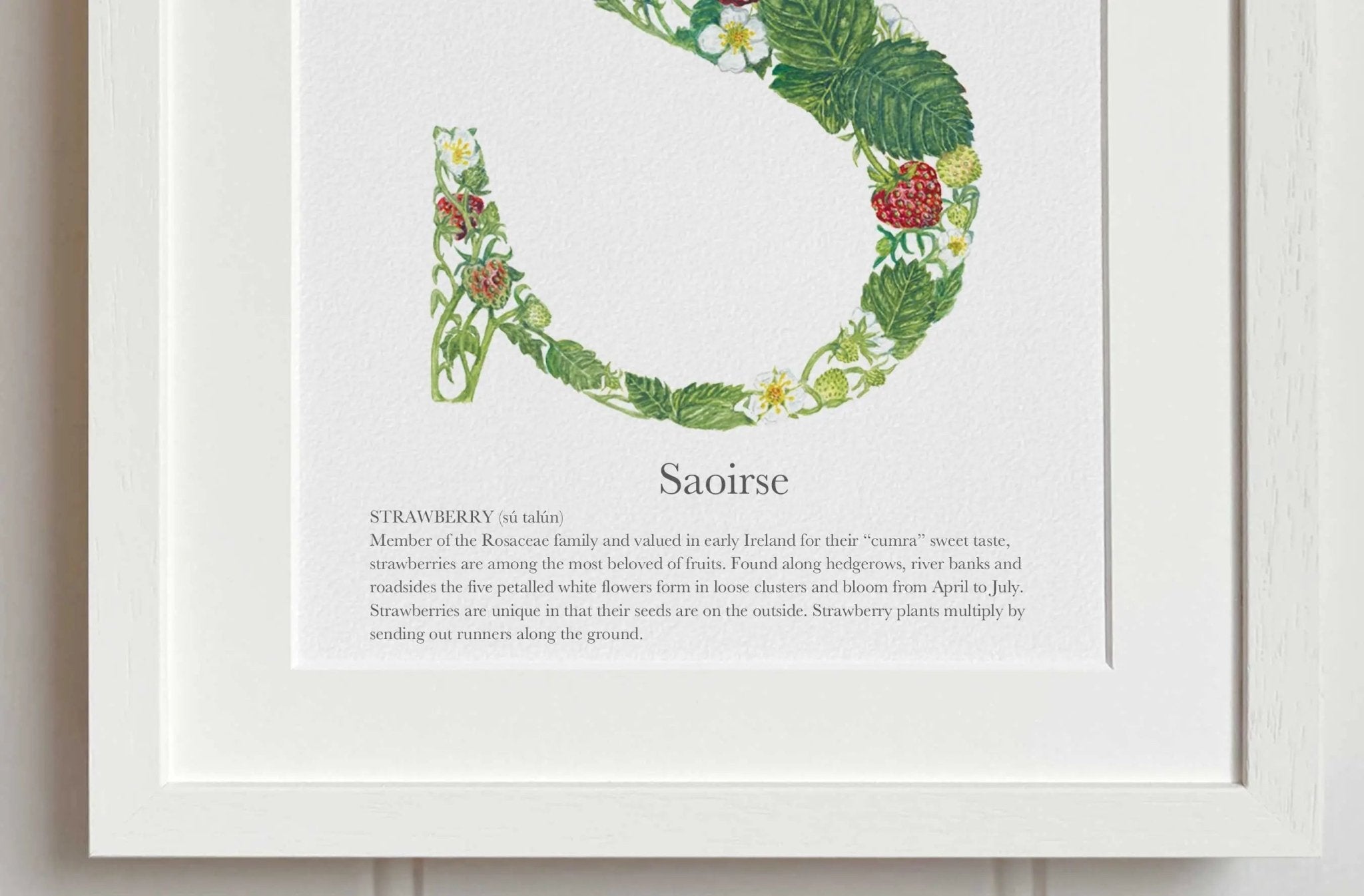 Native Irish Floral Alphabet S - fiadhandfinn