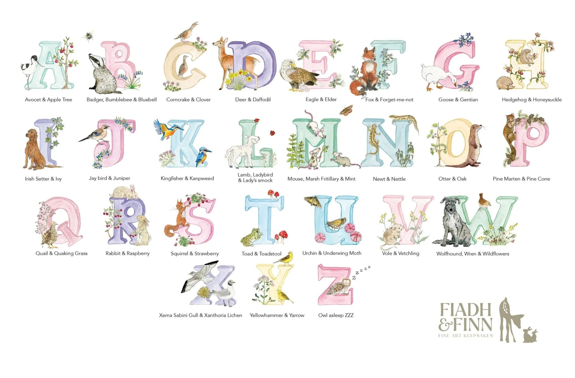 Natural Ireland Alphabet Print (Pastels) - fiadhandfinn