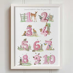 Natural Ireland Numbers Poster (Rose) - fiadhandfinn