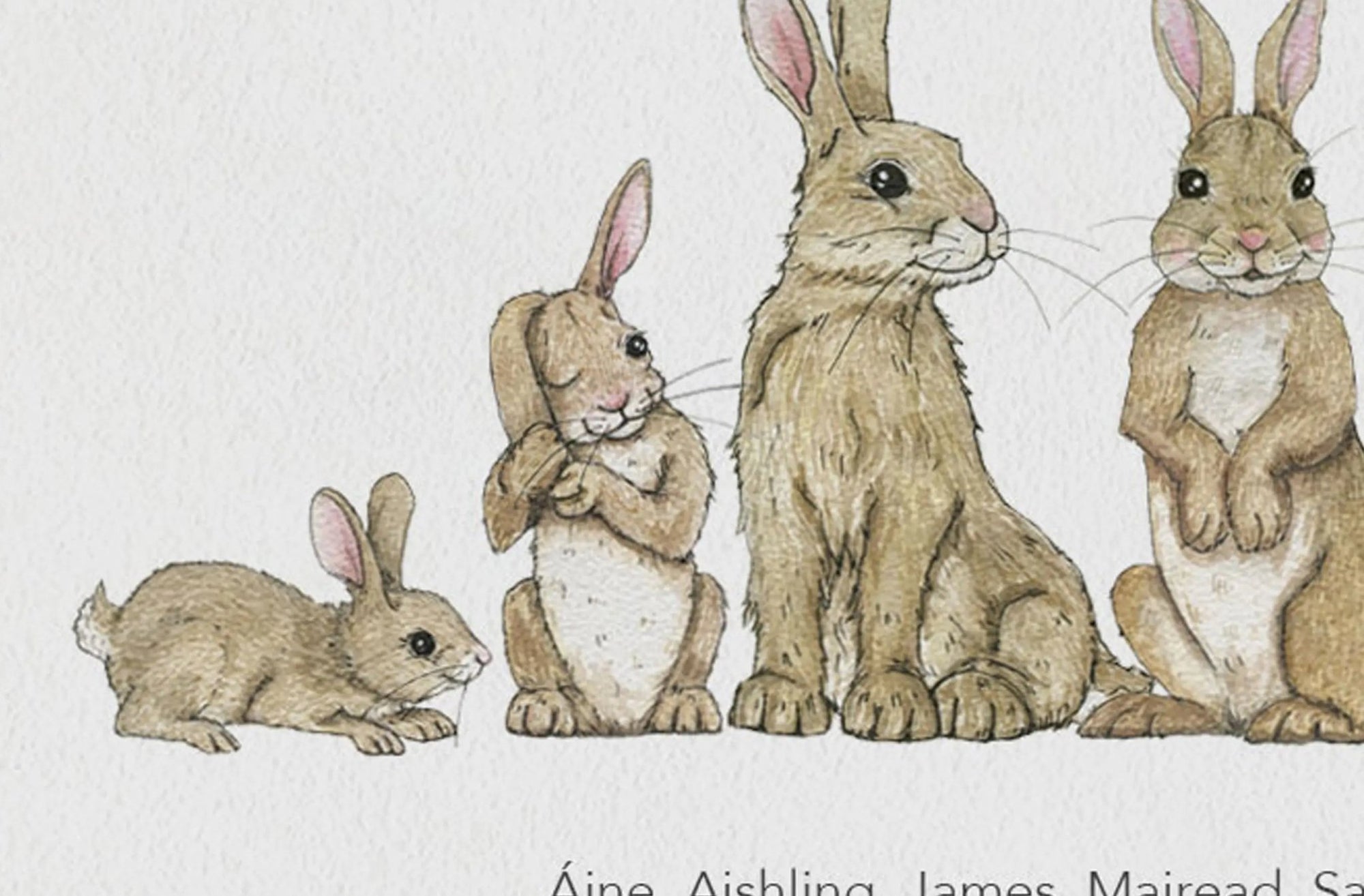 Rabbit Family Personalised Print - fiadhandfinn