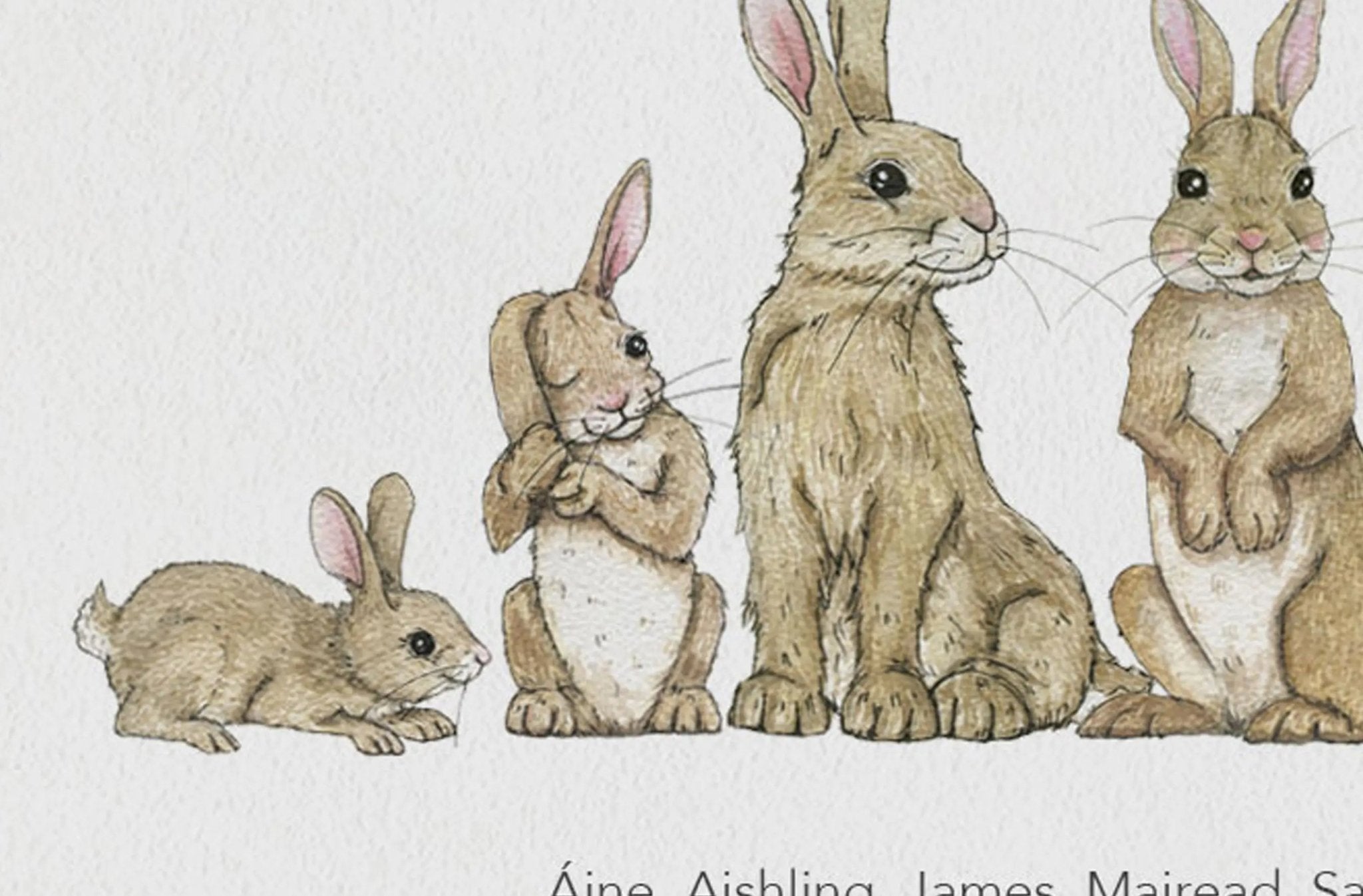 Rabbit Family Personalised Print - fiadhandfinn