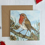 Robin Christmas Cards, Set of 5 (100% Recycled) - fiadhandfinn