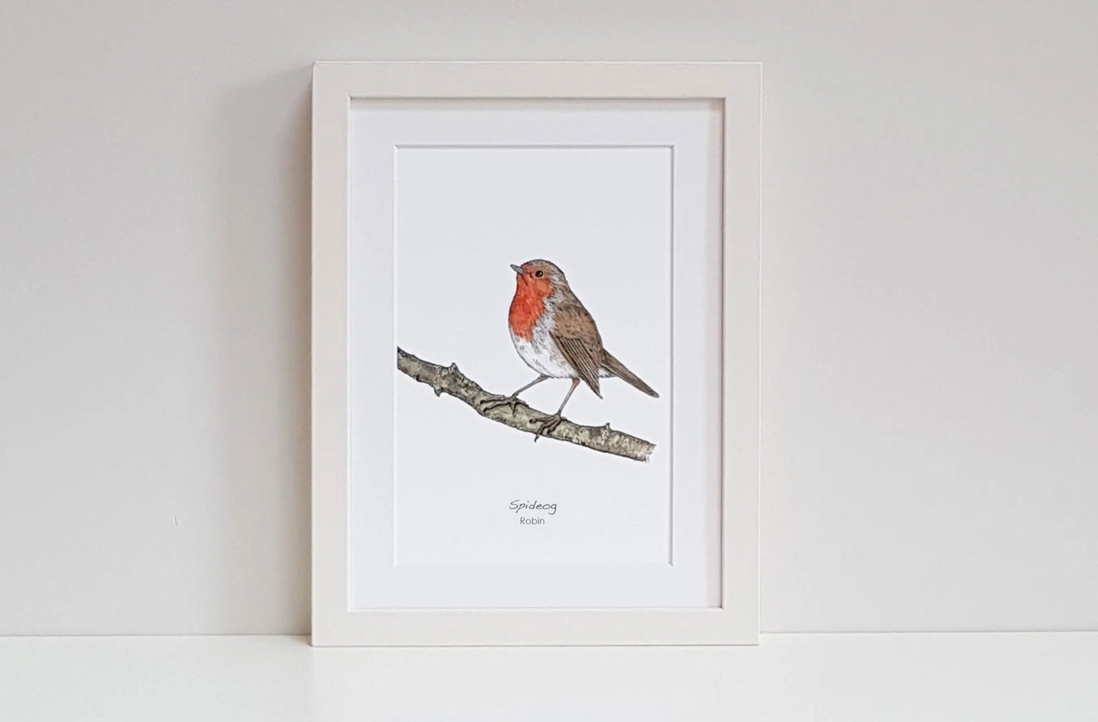 Robin (Spideog) - fiadhandfinn