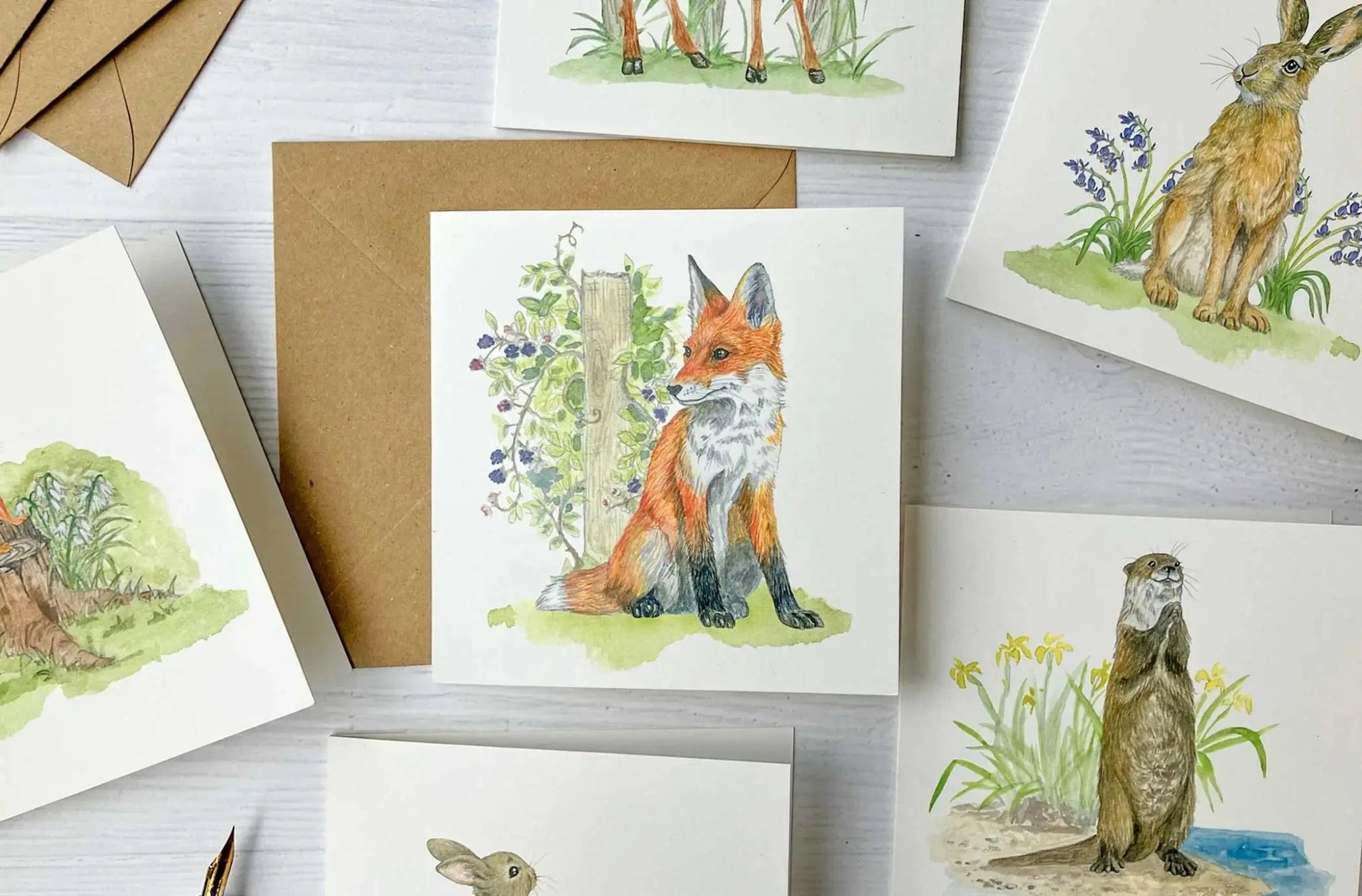 Set of 6 Irish Wildlife Greeting Cards (100% Recycled Card) - fiadhandfinn