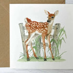 Set of 8 Irish Wildlife Greeting Cards (100% Recycled Card) - fiadhandfinn