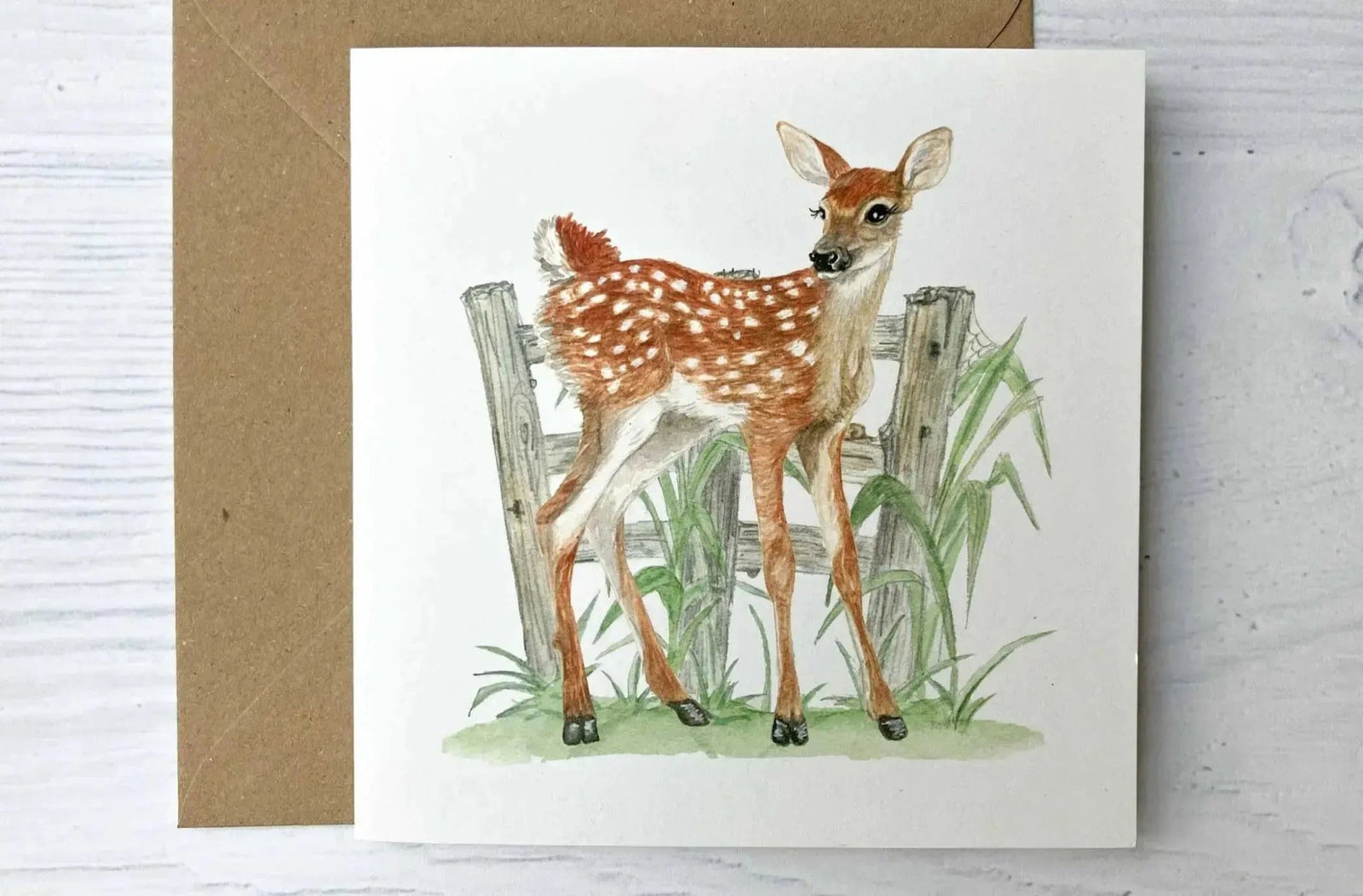 Set of 8 Irish Wildlife Greeting Cards (100% Recycled Card) - fiadhandfinn