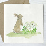 Set of 8 Irish Wildlife Greeting Cards (100% Recycled Card) - fiadhandfinn