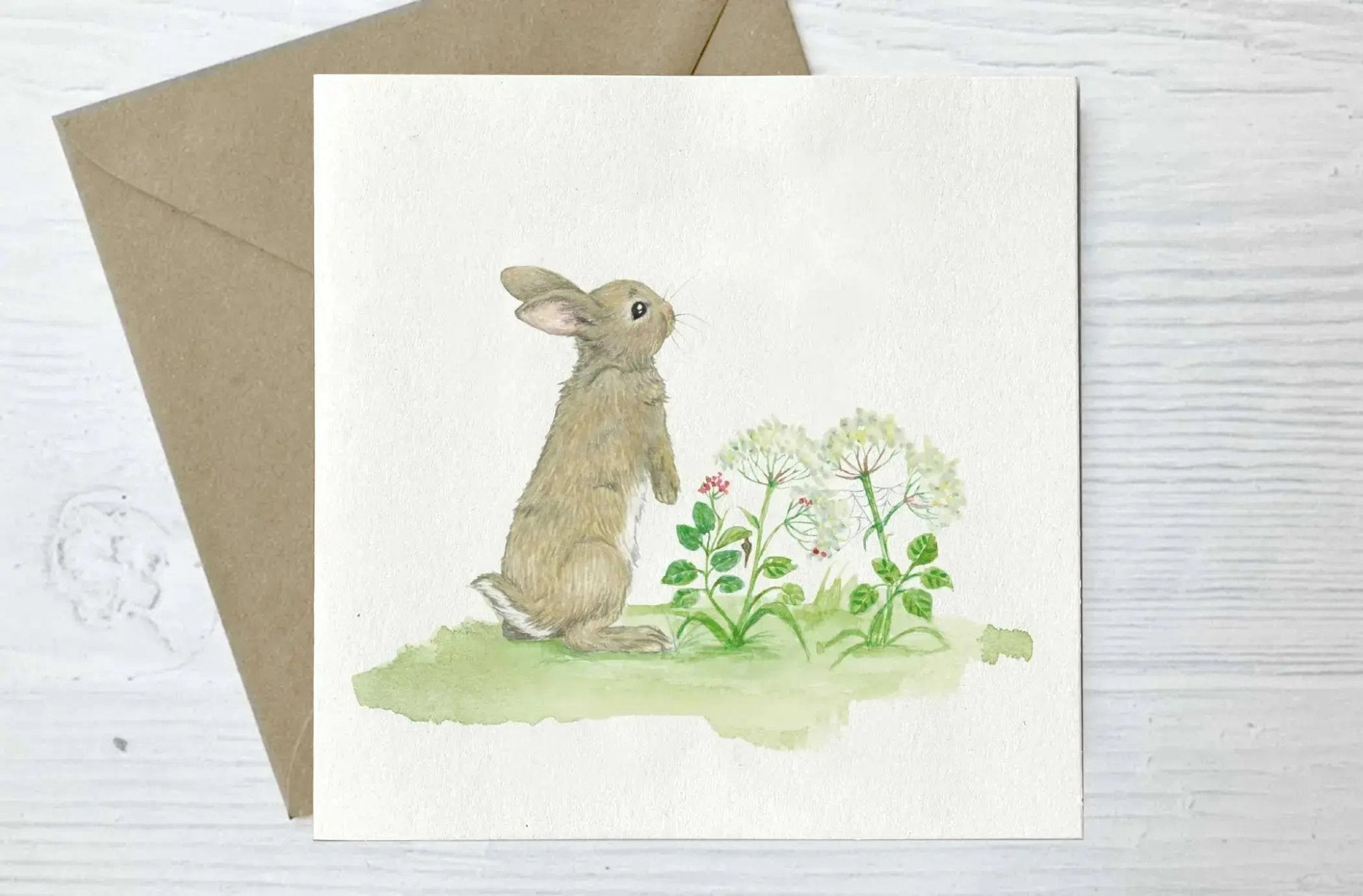 Set of 8 Irish Wildlife Greeting Cards (100% Recycled Card) - fiadhandfinn