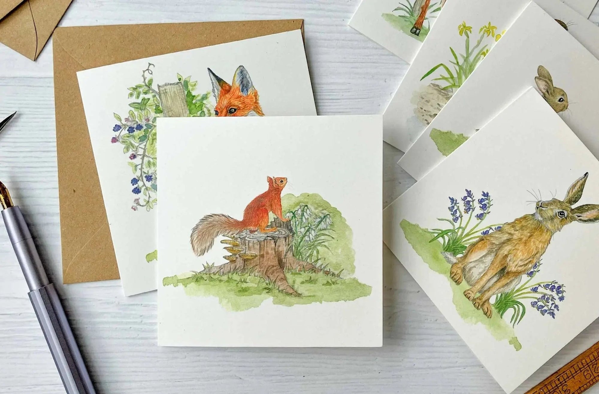 Set of 8 Irish Wildlife Greeting Cards (100% Recycled Card) - fiadhandfinn