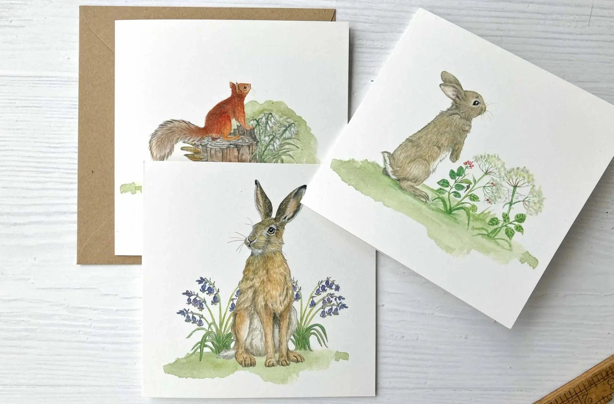Set of 8 Irish Wildlife Greeting Cards (100% Recycled Card) - fiadhandfinn